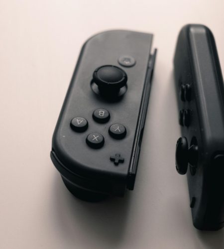 pexels-jaralol-17091544